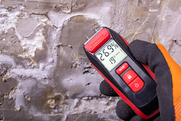 Best Mold Testing and Inspection Services in Lely, FL